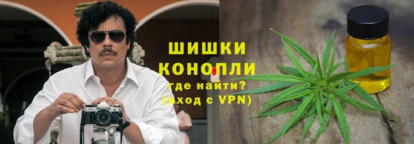 ешки Арсеньев
