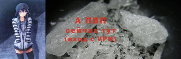 ешки Арсеньев