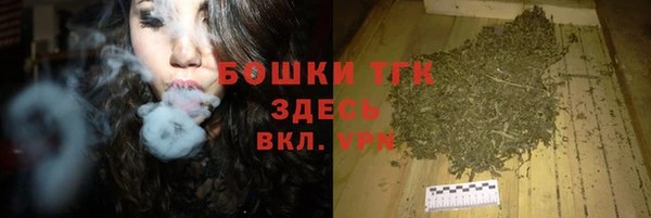 ешки Арсеньев