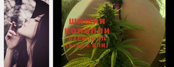 ешки Арсеньев