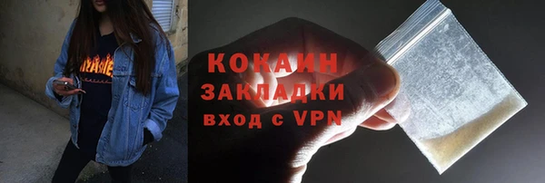 ешки Арсеньев