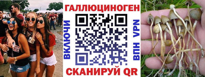 Псилоцибиновые грибы Psilocybine cubensis  Лермонтов 